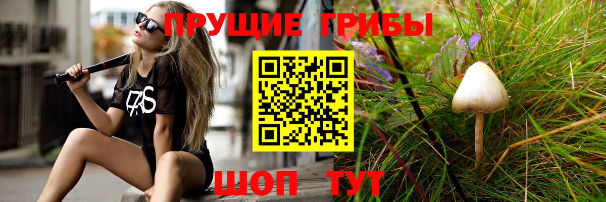 Псилоцибиновые грибы GOLDEN TEACHER Ржев