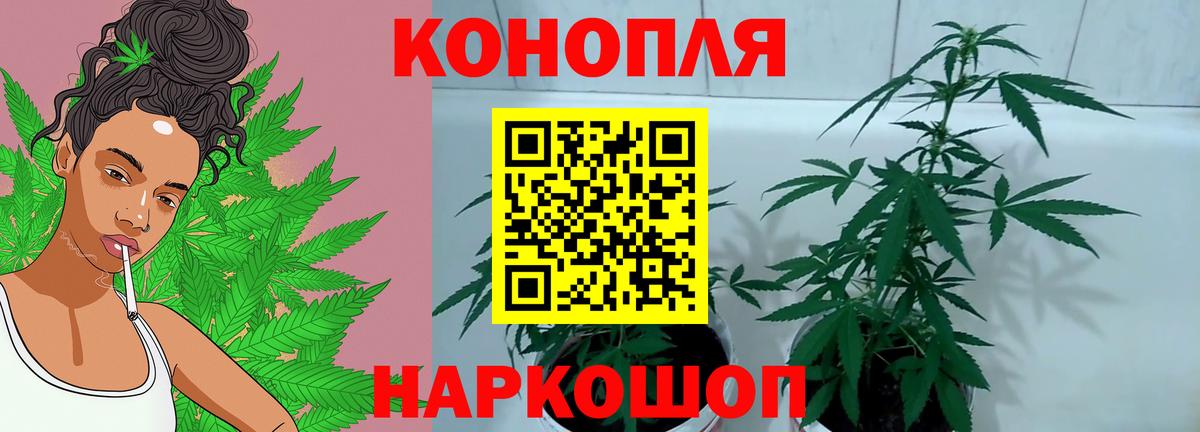 Марихуана тримм  Каннабис LSD WEED  Ржев  Вход с VPN  МАРИХУАНА семена 